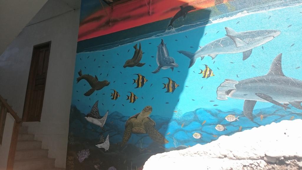 Casa De Celeste Puerto Baquerizo Moreno Ngoại thất bức ảnh